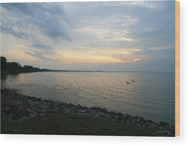 Sunset Wood Print featuring the photograph Catawba Island Sunset by Terri Harper
