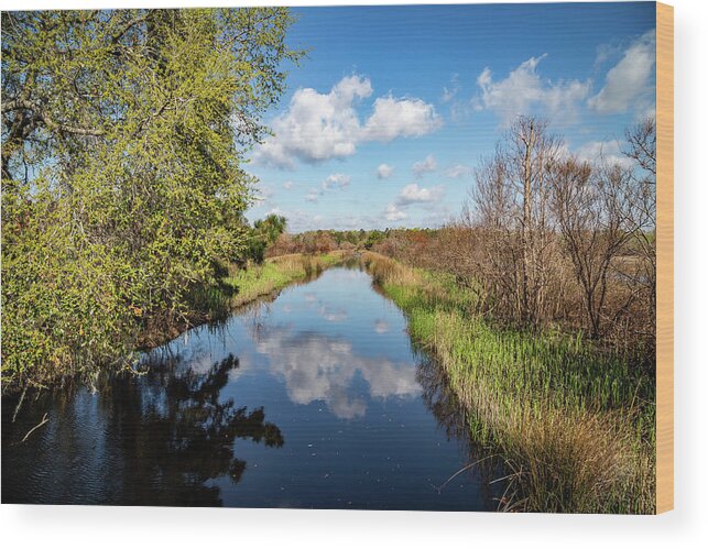 Caw Caw Interpretive Center County Park Wood Print featuring the photograph Cloudscape at Caw Caw by Cindy Robinson