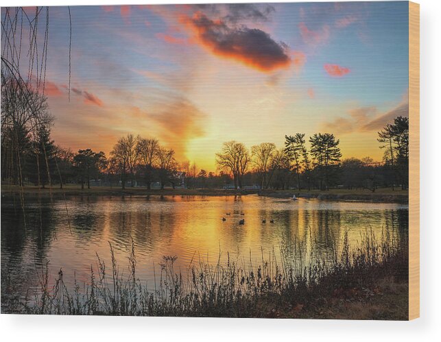 Cedar Beach Wood Print featuring the photograph Cedar Beach Sunset with Ducks by Jason Fink