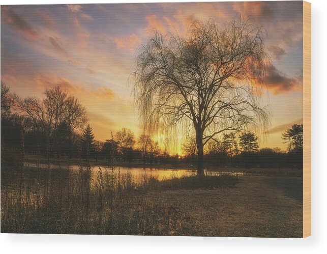 Cedar Beach Wood Print featuring the photograph Cedar Beach Winter Sunset by Jason Fink