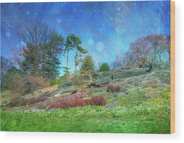 Native Plant Garden Wood Print featuring the photograph Celestial Gardens by Cate Franklyn