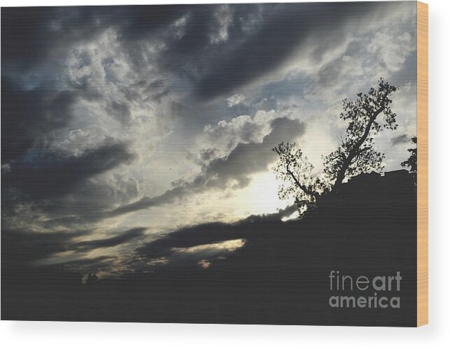 Sunset Photograph Wood Print featuring the photograph Changing Light by Expressions By Stephanie