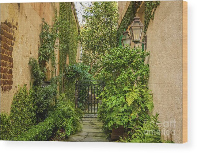 Charleston Wood Print featuring the photograph Charleston Garden Walkway - View 2 by Sturgeon Photography