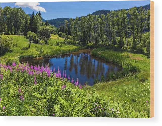 Bulgaria Wood Print featuring the photograph Charming Lake by Evgeni Dinev