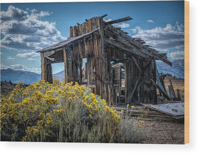 Abandoned Wood Print featuring the photograph Chemung Mine Room With a View by Lindsay Thomson