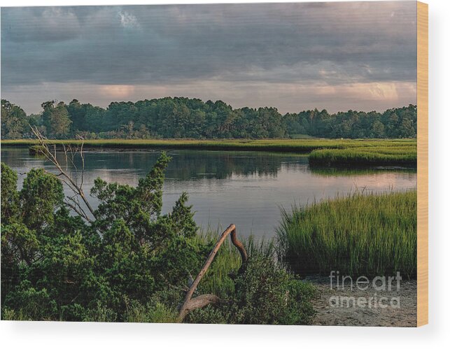 Cherry Grove Wood Print featuring the photograph Cherry Grove Marsh Morning by David Smith