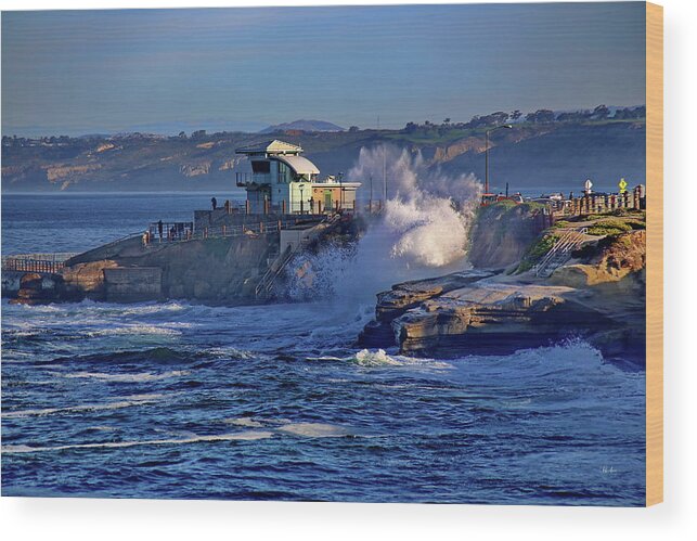 Children's Wood Print featuring the photograph Children's Pool La Jolla in Winter by Russ Harris