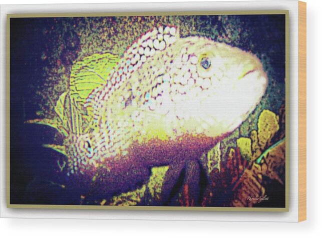  Wood Print featuring the mixed media Cichlid by YoMamaBird Rhonda