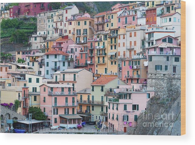 Rock Wood Print featuring the photograph Cinque Terre houses, Italy by Anastasy Yarmolovich