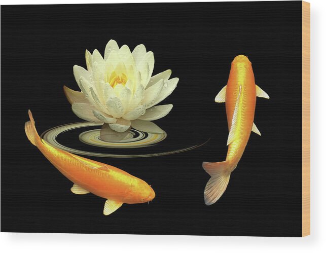 Koi Fish Wood Print featuring the photograph Circle Of Life - Koi Carp With Water Lily by Gill Billington