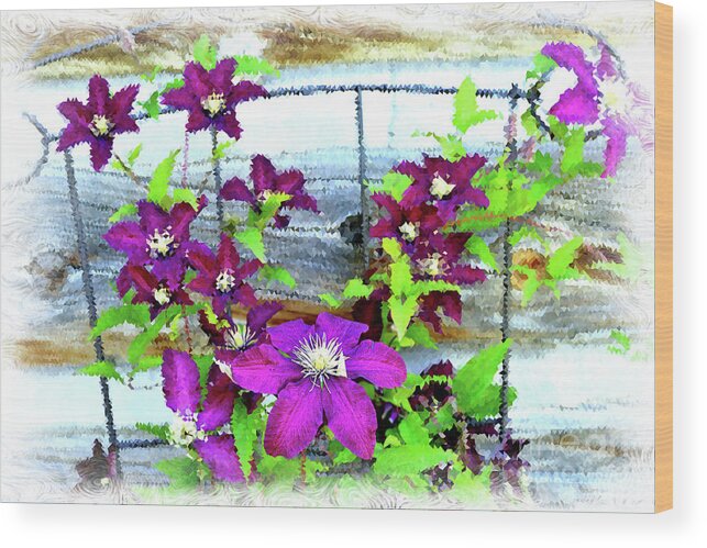 Flower Wood Print featuring the photograph Clematis on Wire Trellis by Kae Cheatham