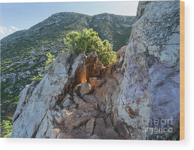 Mediterranean Coast Wood Print featuring the photograph Cliffs of the mediterranean coast by Adriana Mueller