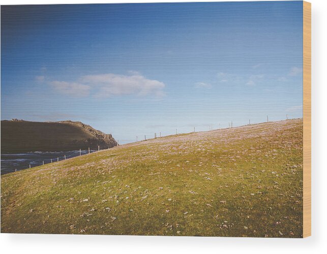 Abundance Wood Print featuring the photograph Clogher Pinkness by Mark Callanan