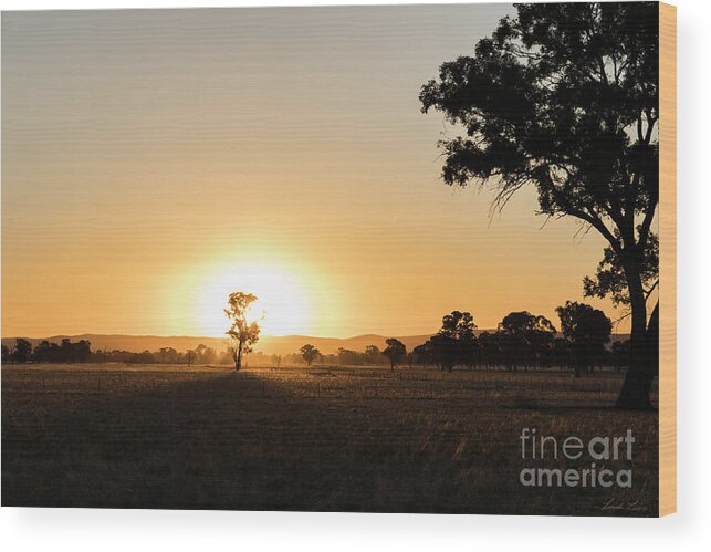 Sunset Wood Print featuring the photograph Close of Day by Linda Lees