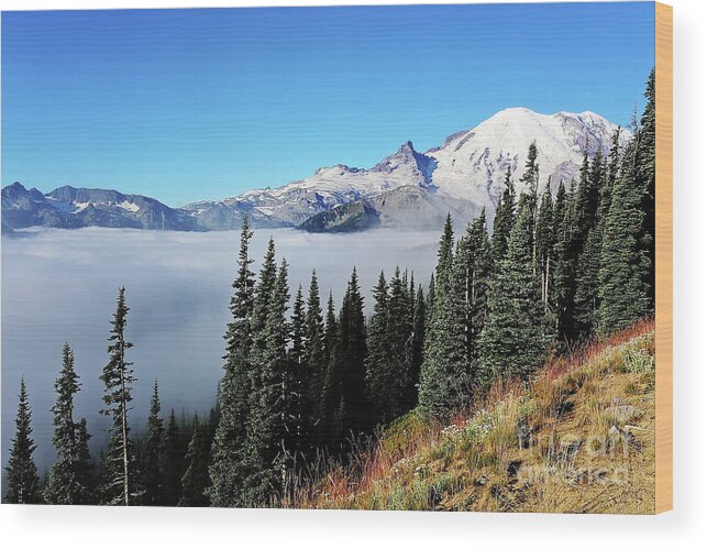 Clouds Wood Print featuring the photograph Cloud Inversion by Sylvia Cook