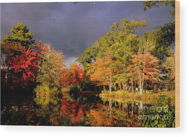 Clouds Wood Print featuring the photograph Clouds and Color by Lennie Malvone