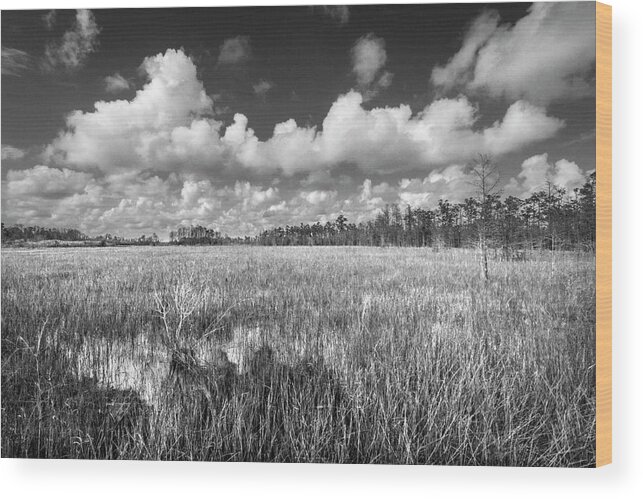 Clouds Wood Print featuring the photograph Clouds in Black and White over the Marsh by Debra and Dave Vanderlaan