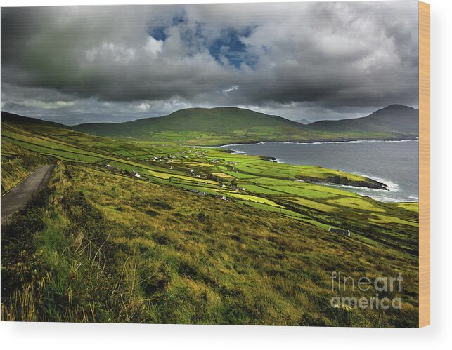 Ireland Wood Print featuring the photograph Coastal Landscape of Ireland by Andreas Berthold