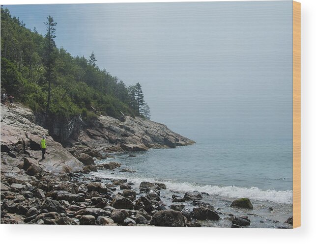Tall Pine Trees Wood Print featuring the photograph Coastal Maine 6 by Mike McGlothlen