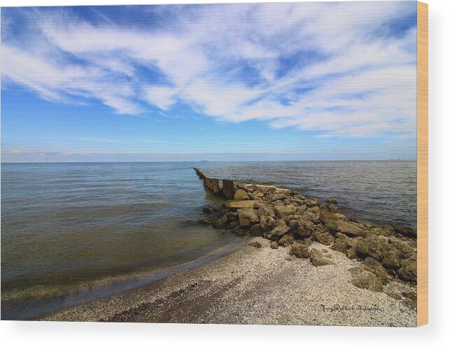 Lake Erie Wood Print featuring the photograph Coastal Ohio Series 1 by Mary Walchuck