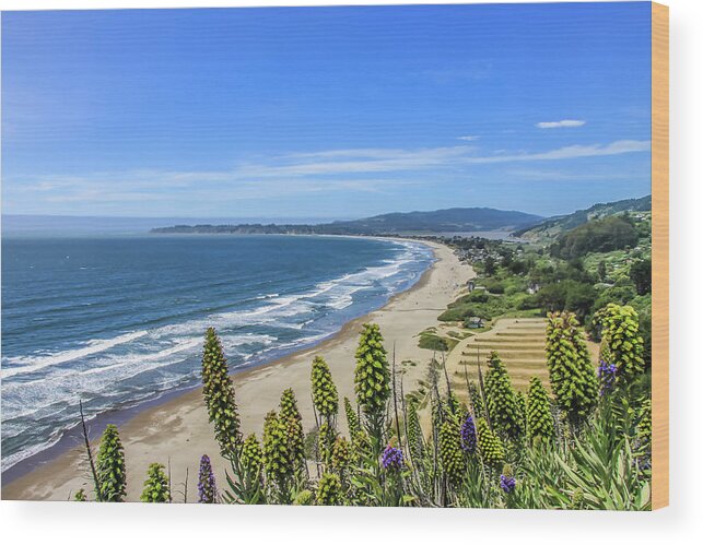 Bolinas Bay Wood Print featuring the photograph Coastal Scene by Dawn Richards
