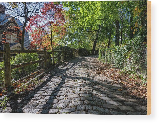 Autumn Wood Print featuring the photograph Cobblestones in Autumn by Kevin Suttlehan