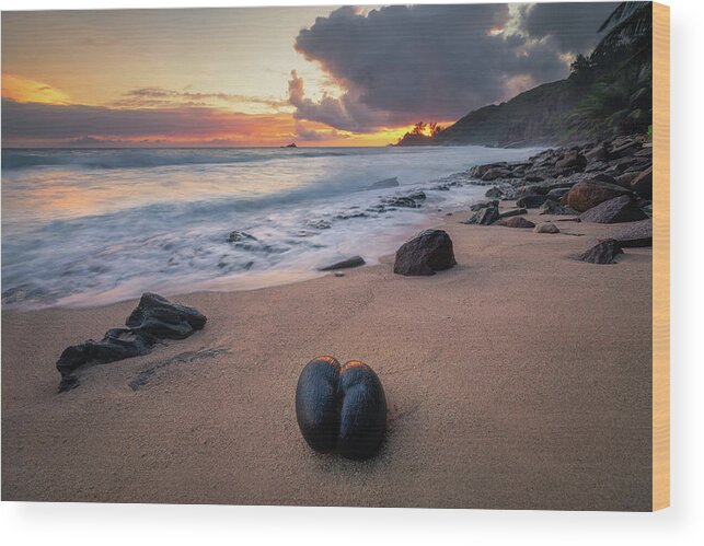 Seychelles Wood Print featuring the photograph Coco de Mer by Erika Valkovicova