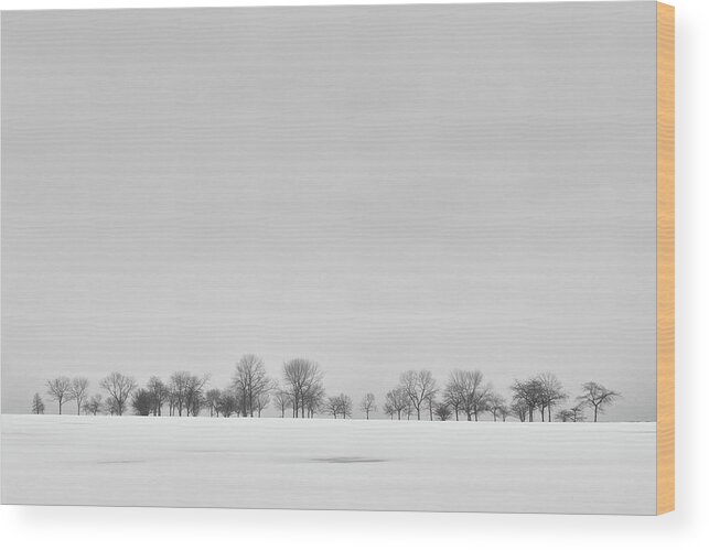 Black And White Wood Print featuring the photograph Cold Horizon by Scott Norris