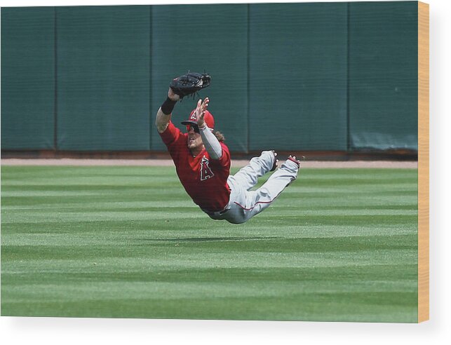 American League Baseball Wood Print featuring the photograph Collin Cowgill by Sarah Crabill