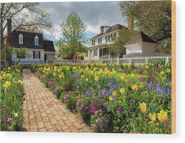 Colonial Williamsburg Wood Print featuring the photograph Colonial Spring Garden by Lara Morrison