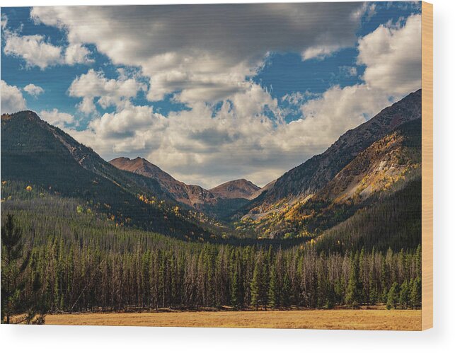 Nature Wood Print featuring the photograph Colorado mountain by Nathan Wasylewski