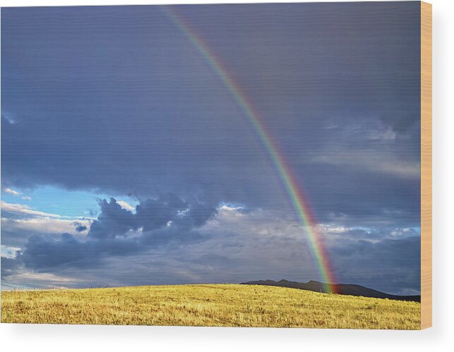 Rainbow Wood Print featuring the photograph Colorado Rainbow by Bob Falcone