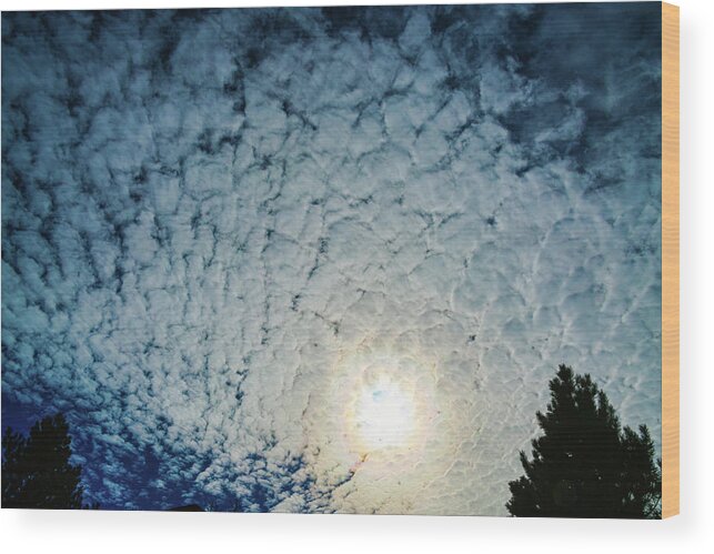 Colorado Wood Print featuring the photograph Colorado Stratocumulus Sky by James BO Insogna