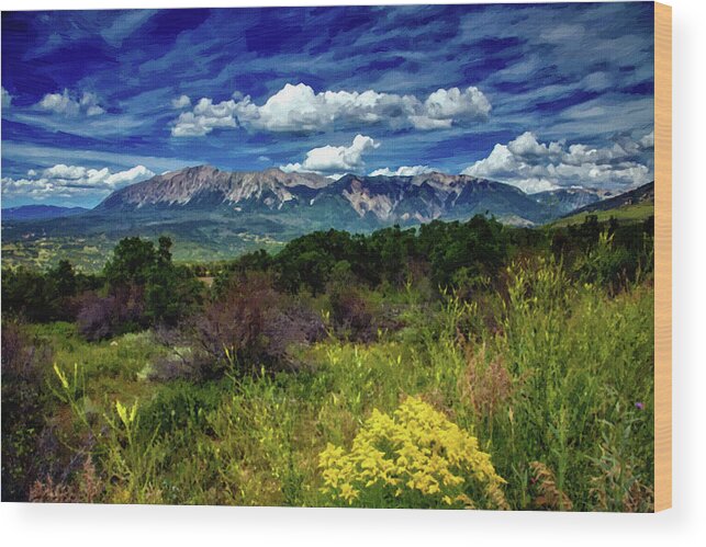 Oil On Canvas Wood Print featuring the digital art Colorado Wildflowers 3, Oil Painting ca 2020 by Ahmet Asar by Celestial Images