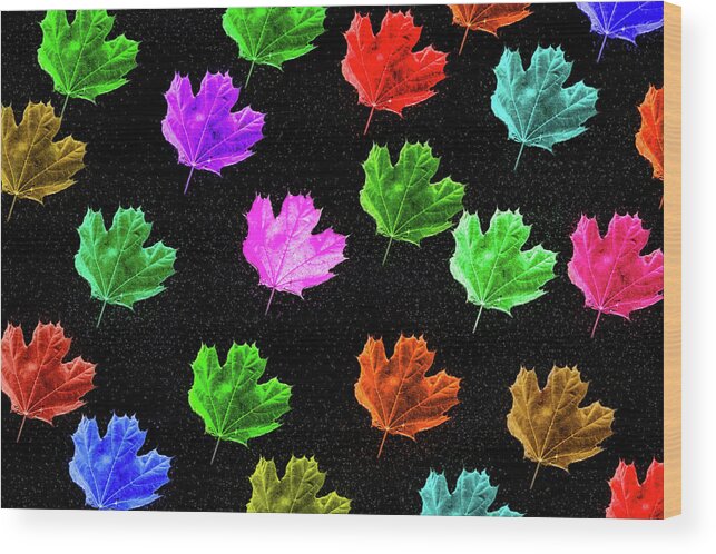 Colorful Leaf Collage Wood Print featuring the mixed media Colorful Leaf Collage by Dan Sproul