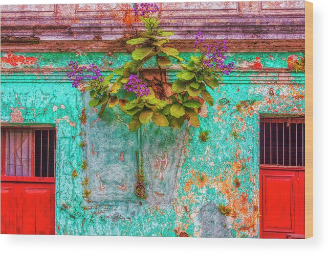 Antigua Wood Print featuring the photograph Colors of Guatemala #2 by Tatiana Travelways
