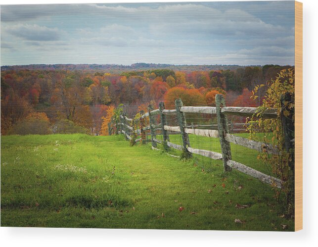 Fall Wood Print featuring the photograph Connecticut Foliage_8156 by Rocco Leone