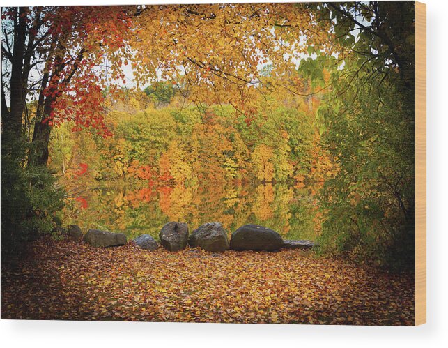 Foliage Wood Print featuring the photograph Connecticut_Foliage_8225 by Rocco Leone