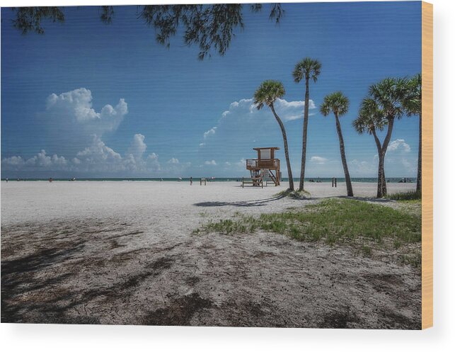 Anna Maria Island Wood Print featuring the photograph Coquina Beach Day by ARTtography by David Bruce Kawchak