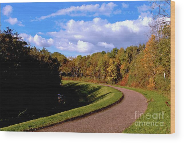 Nature Wood Print featuring the photograph Country Road by Stephen Melia