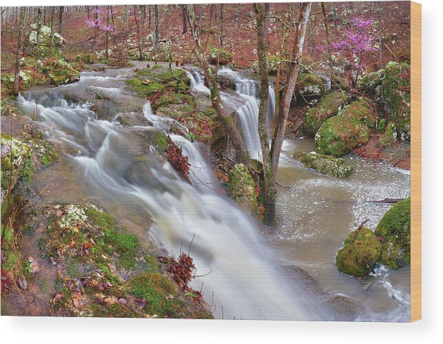 Waterfall Wood Print featuring the photograph Coward's Hollow Shut-ins I by Robert Charity