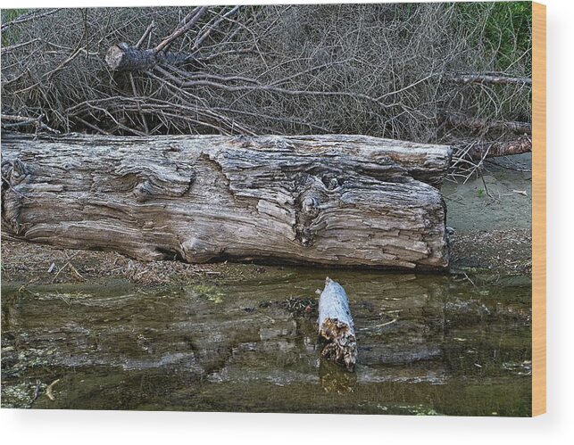 America Wood Print featuring the digital art Creekside Log by David Desautel