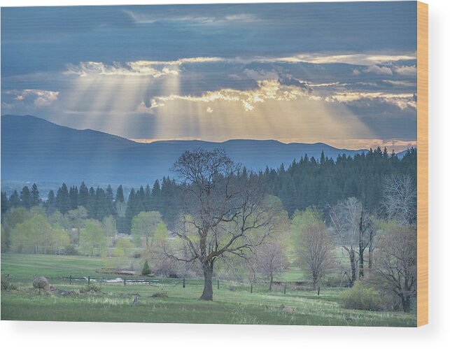 Sun Wood Print featuring the photograph Crepuscular by Randy Robbins