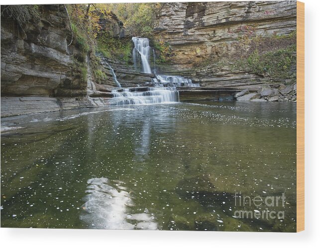 Cummins Falls State Park Wood Print featuring the photograph Cummins Falls 42 by Phil Perkins