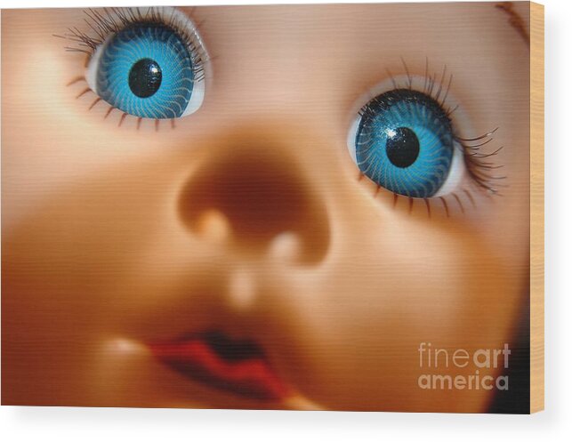 Face Wood Print featuring the photograph Curious by Dan Holm