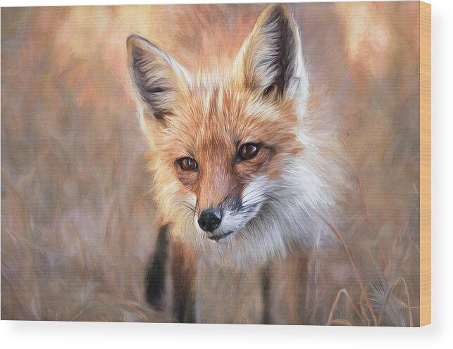 Red Fox Wood Print featuring the photograph Curious by Linda Villers