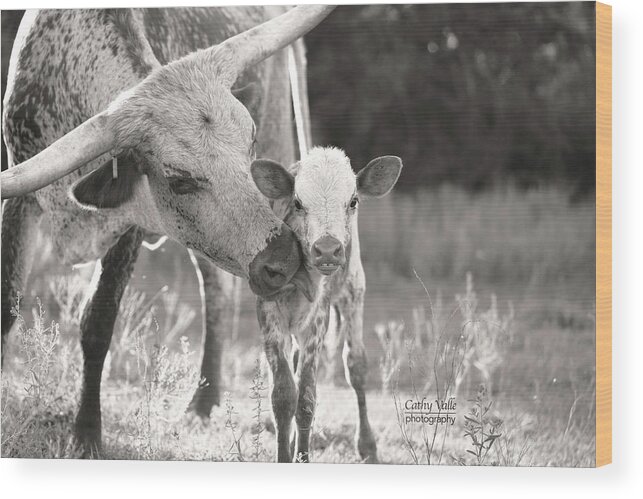 Wall Art Wood Print featuring the photograph Cute longhorn calf print, Spot in black and white by Cathy Valle