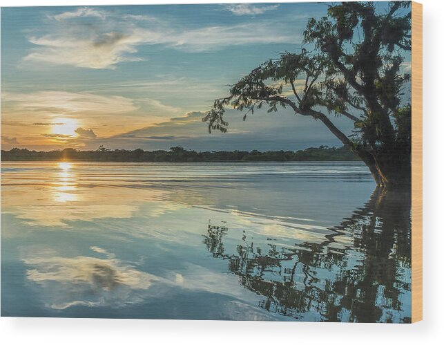 Amazon Wood Print featuring the photograph Cuyabeno sunset Laguna Grande by Henri Leduc