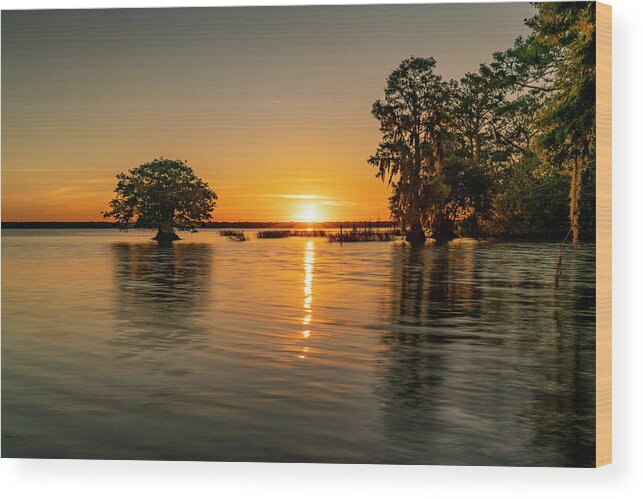 Todd Tucker Wood Print featuring the digital art Cypress Sunset Wide by Todd Tucker