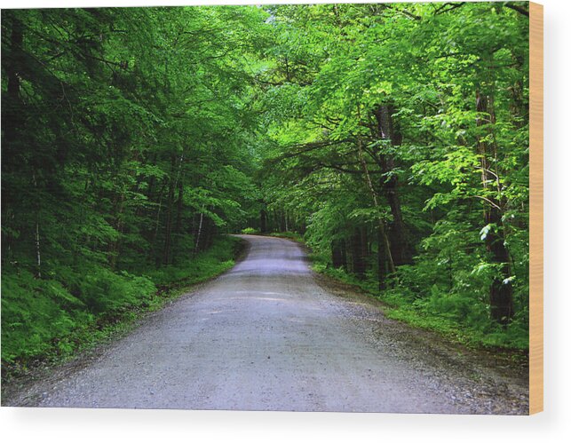 Danby-langrove Road Wood Print featuring the photograph Danby-Langrove Road USFS 10 by Raymond Salani III